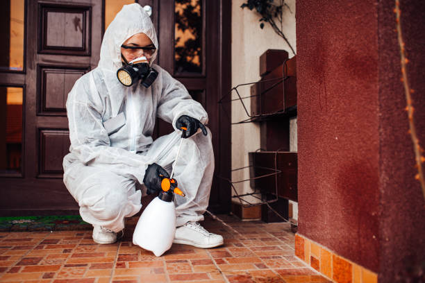 Reliable Bed Bug Control contractor in Vine Hill, CA by Nex Pest Control